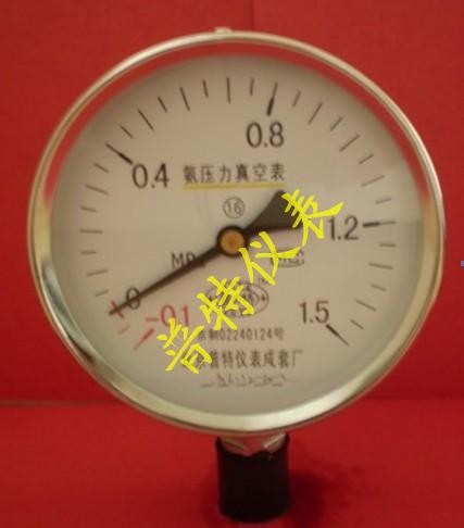 专业生产质优氨压力表YA100